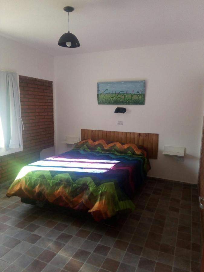 6 Olivos San Rafael (Mendoza)