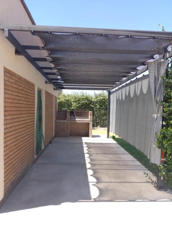 6 Olivos San Rafael (Mendoza)