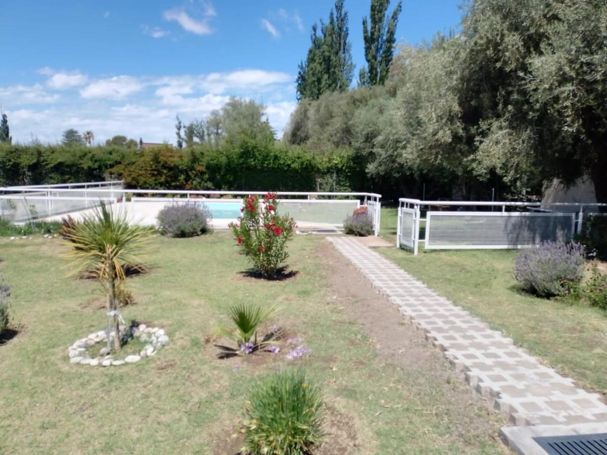 6 Olivos San Rafael (Mendoza)