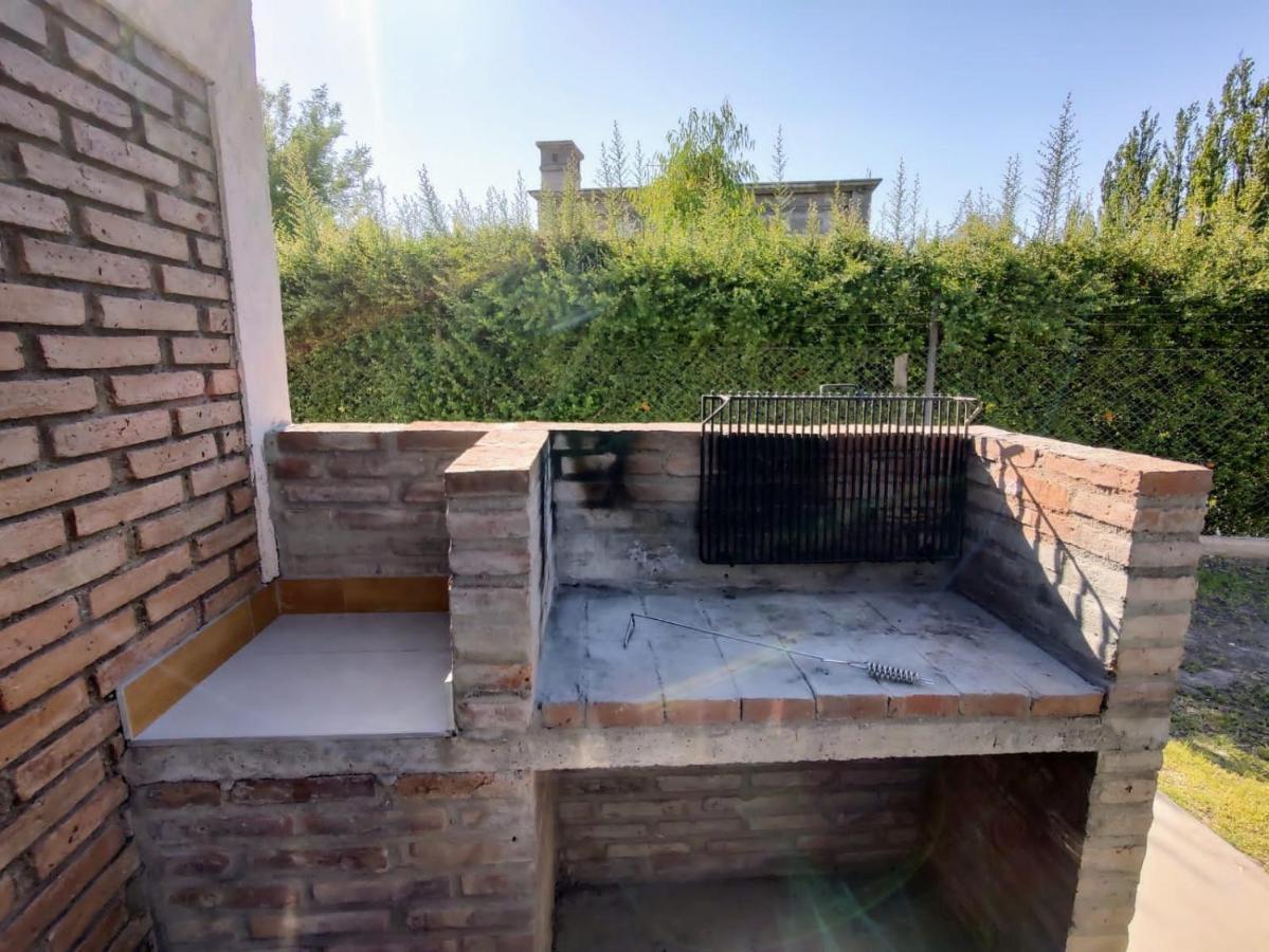6 Olivos * San Rafael (Mendoza)