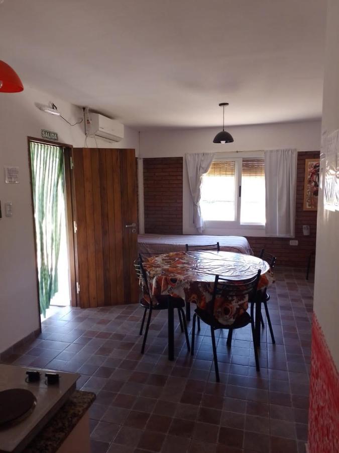 6 Olivos San Rafael (Mendoza)