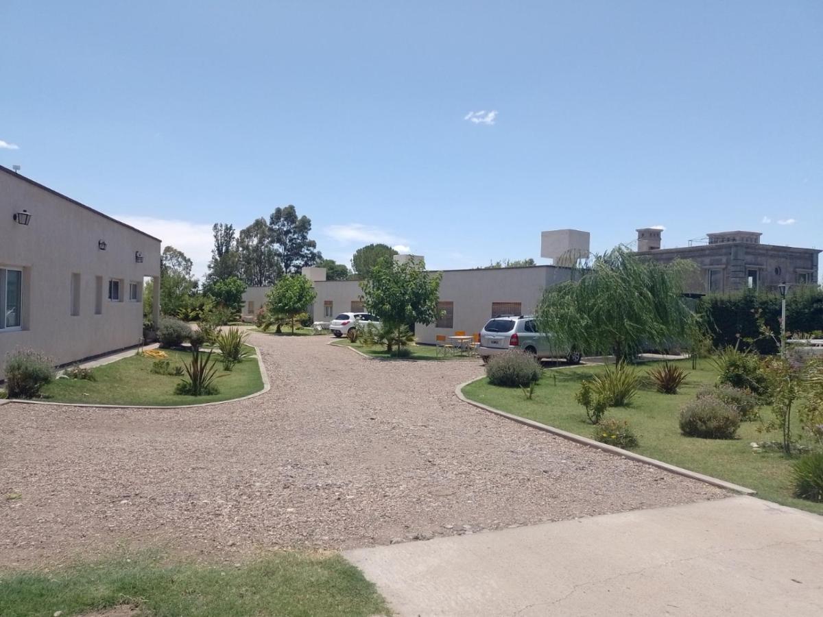 6 Olivos * San Rafael (Mendoza)