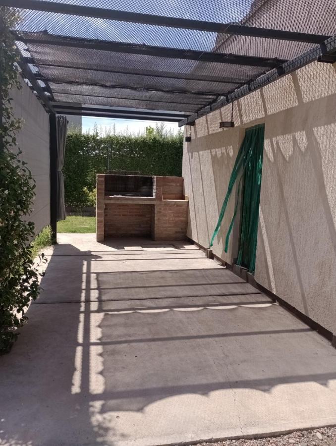 6 Olivos San Rafael (Mendoza)
