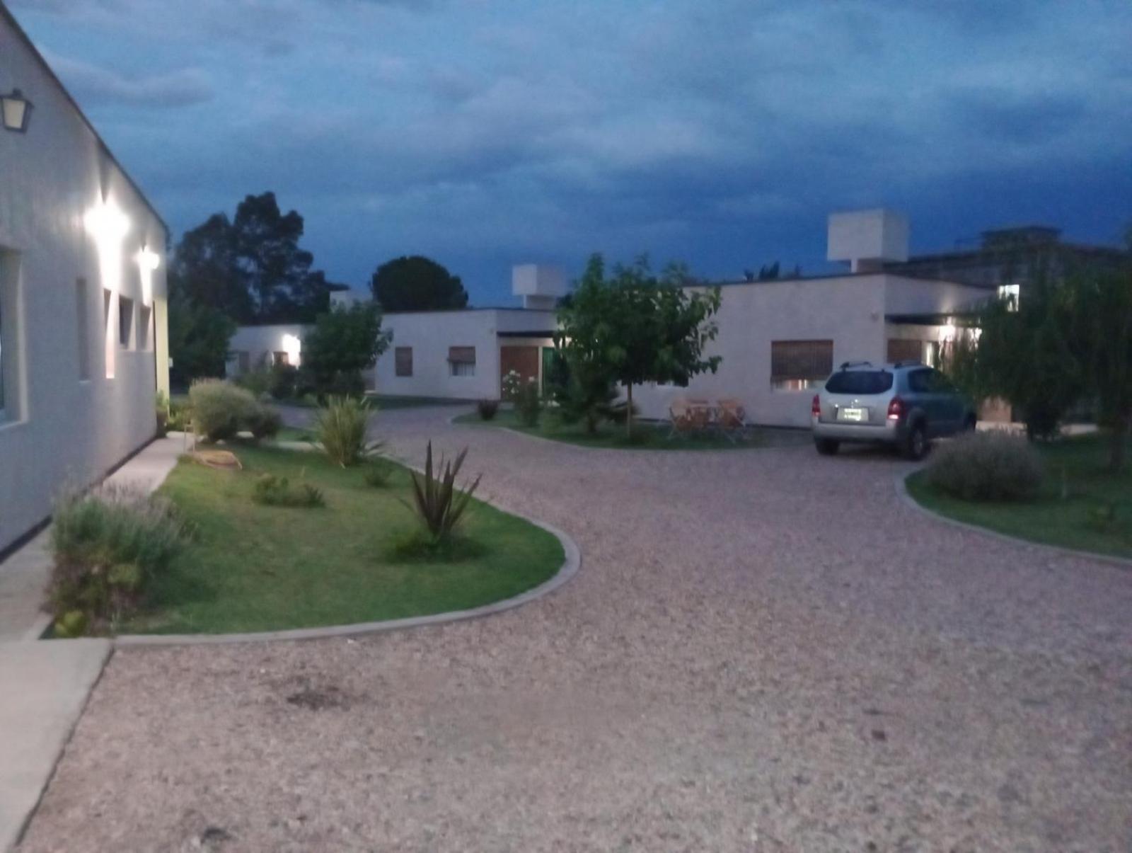 6 Olivos