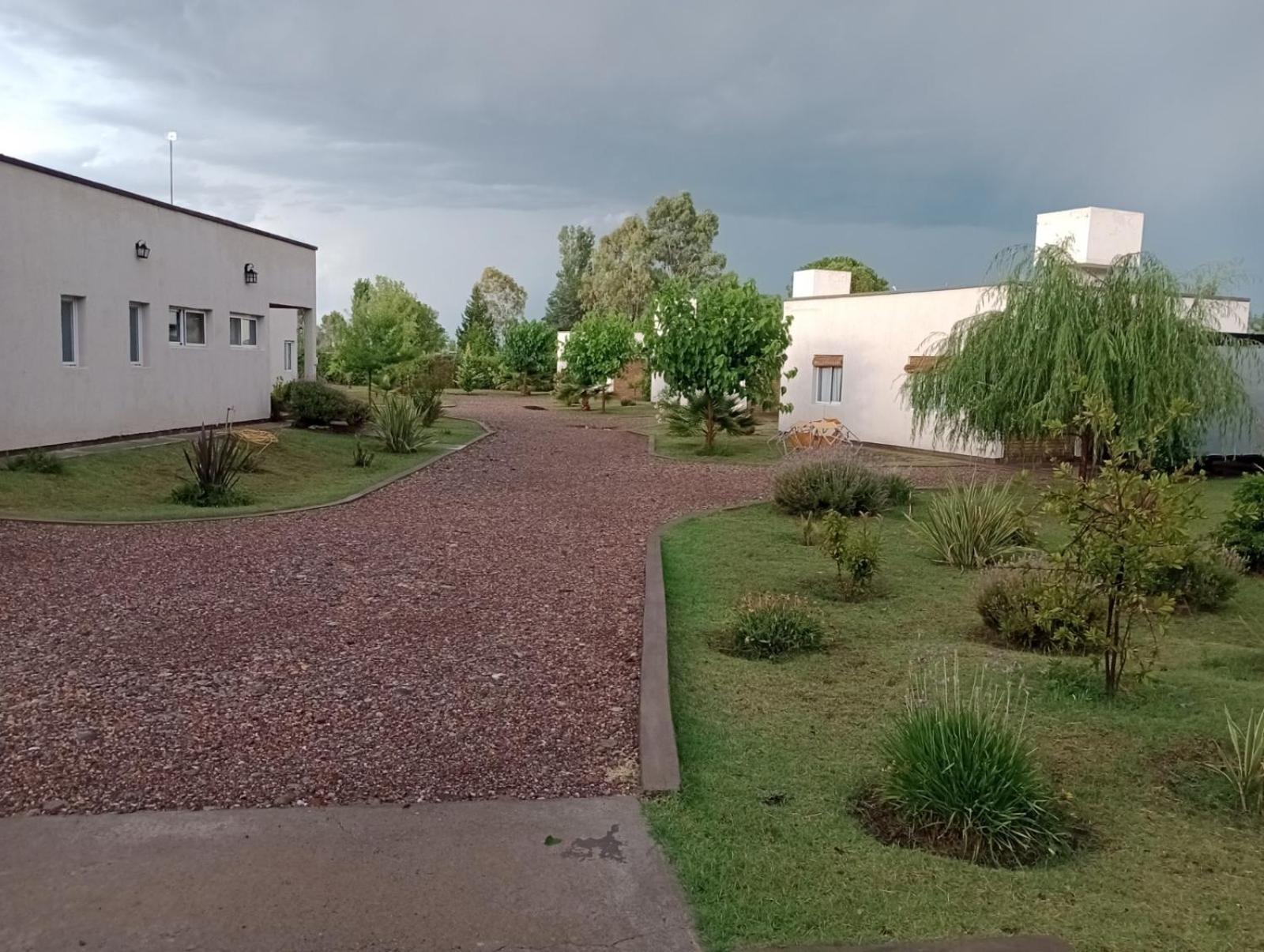 6 Olivos * San Rafael (Mendoza)