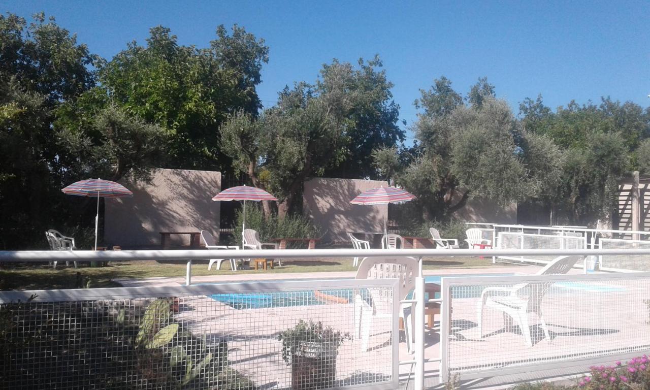Lodge 6 Olivos San Rafael (Mendoza)
