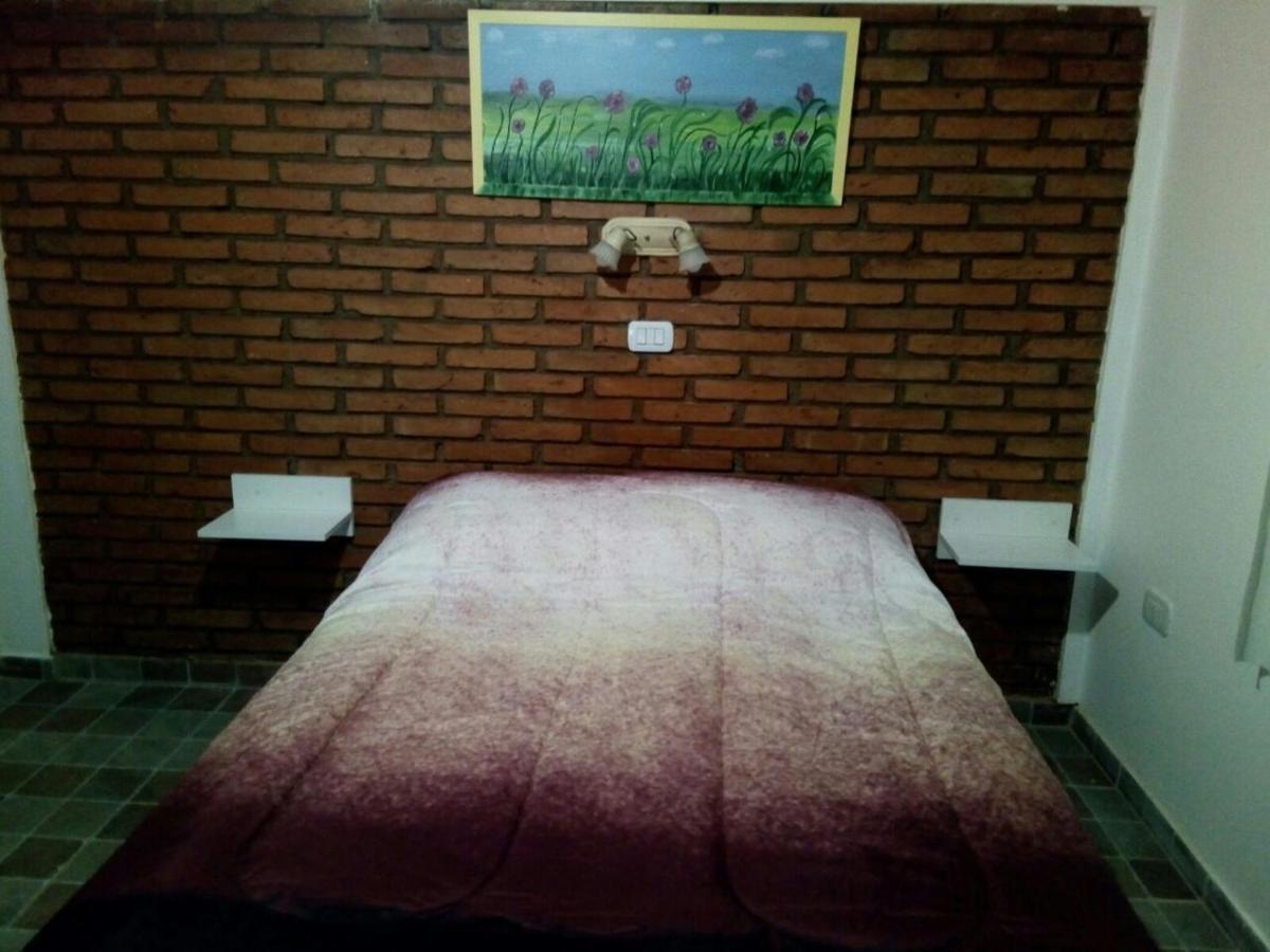 6 Olivos * San Rafael (Mendoza)